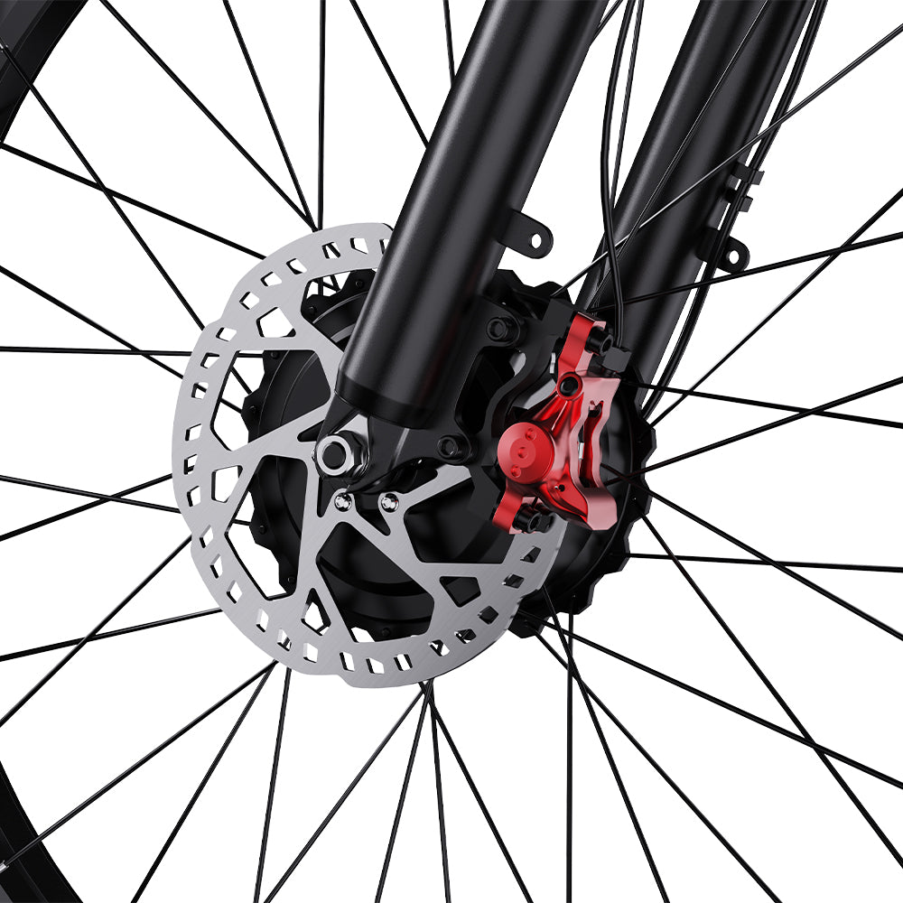 302-DUOTTS S26 vélo électrique