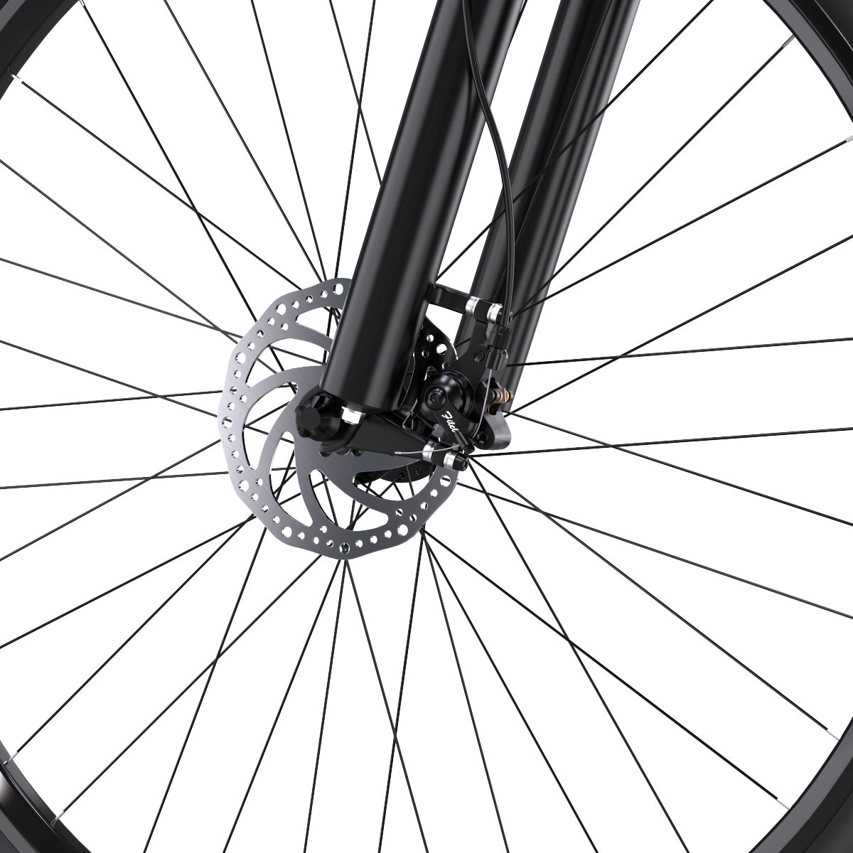 301-DUOTTS C29 Vélo Électrique