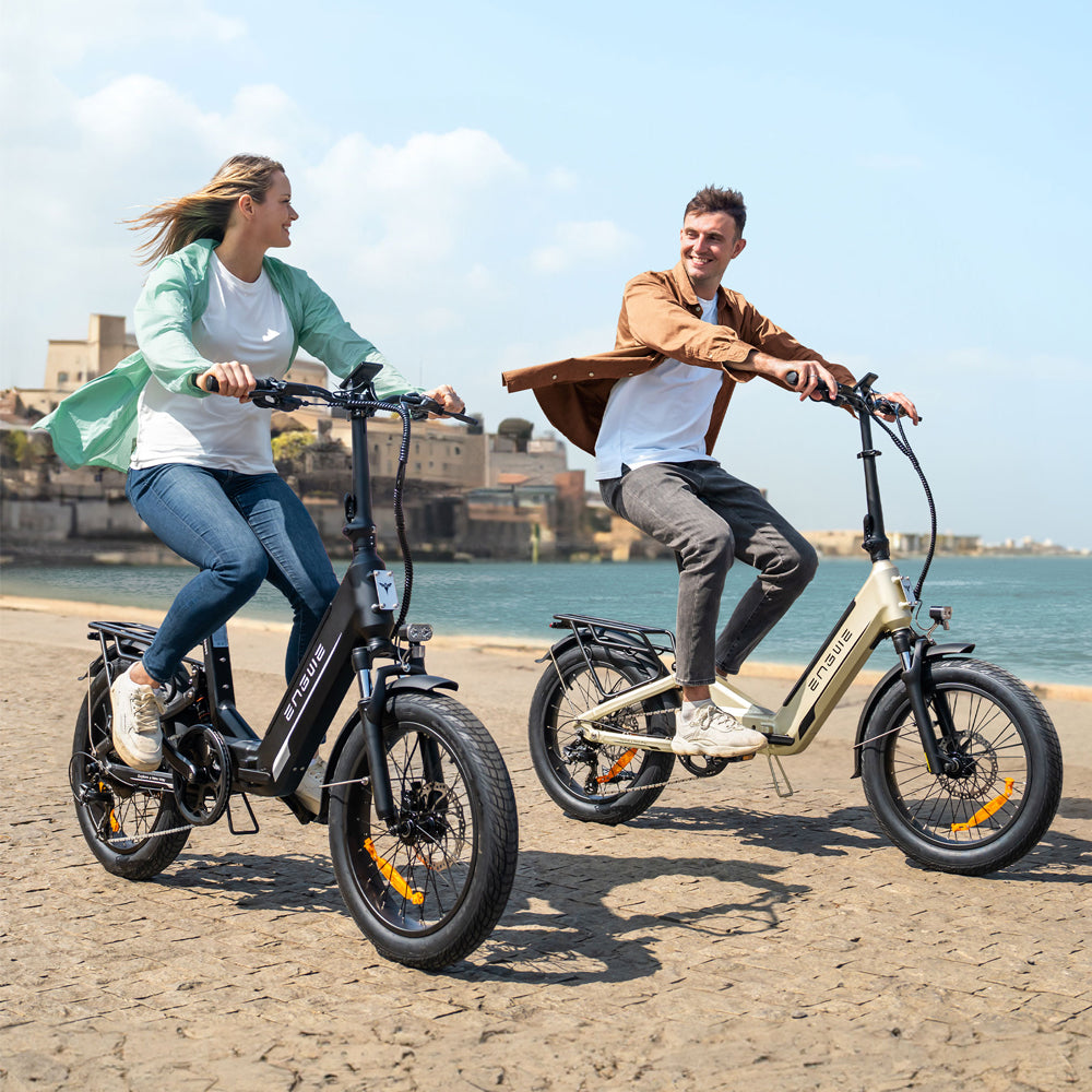 108-Engwe L20 3.0 Boost - Vélo Électrique Pliant