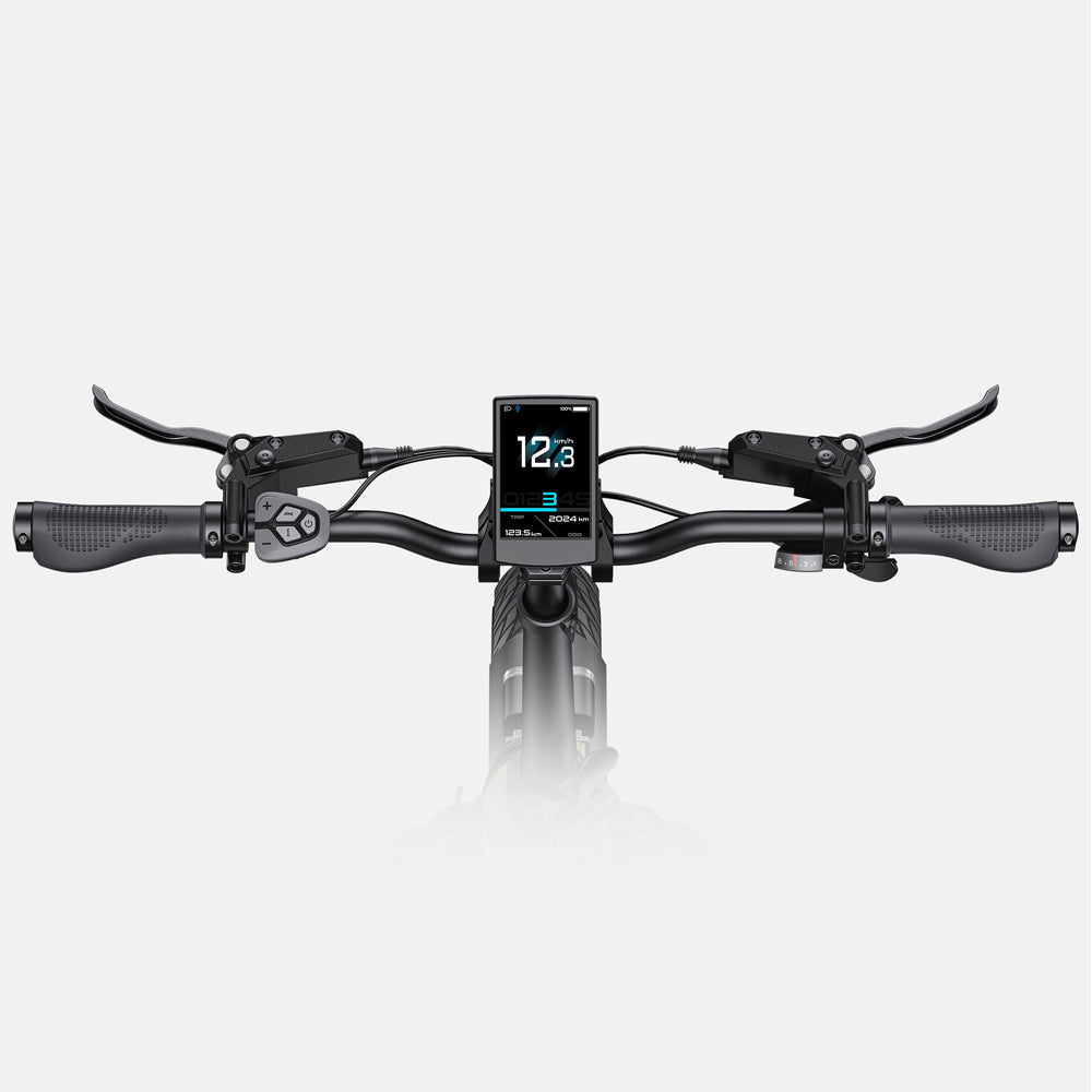107-Engwe L20 3.0 Pro - vélo électrique pliant