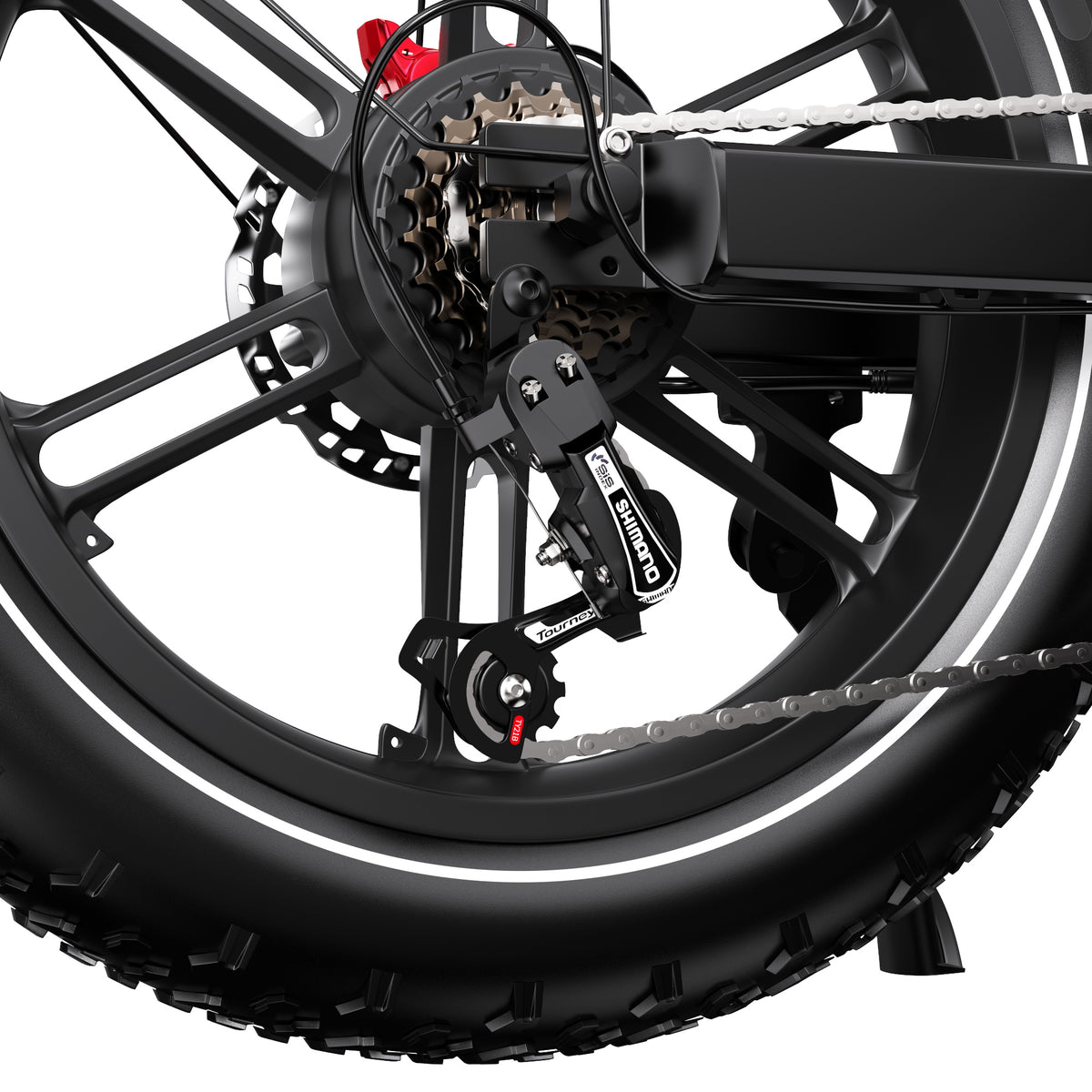 309-DUOTTS F20 Vélo Électrique